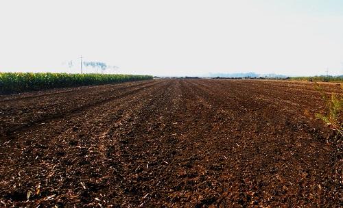 土壤墑情監(jiān)測系統