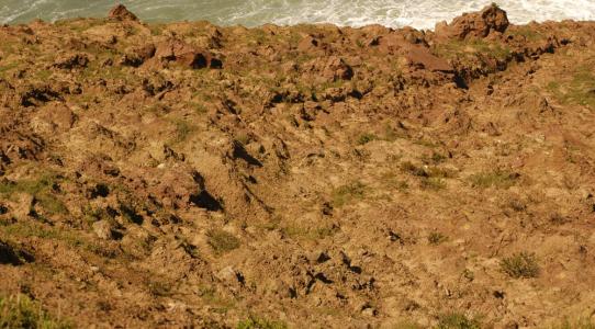 土壤水分測定儀