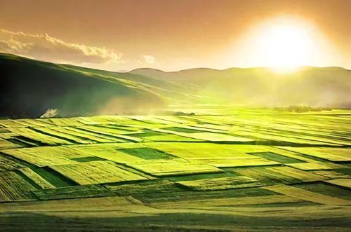 土壤墑情監(jiān)測(cè)系統(tǒng)